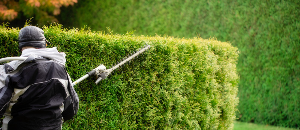 Usługi minikoparką - Pielęgnacja terenów zielonych