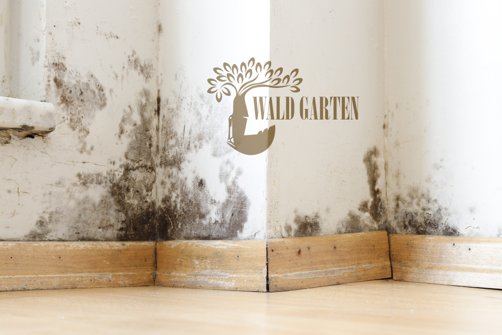 Usługi minikoparką - Osuszanie fundamentów i ich ocieplanie